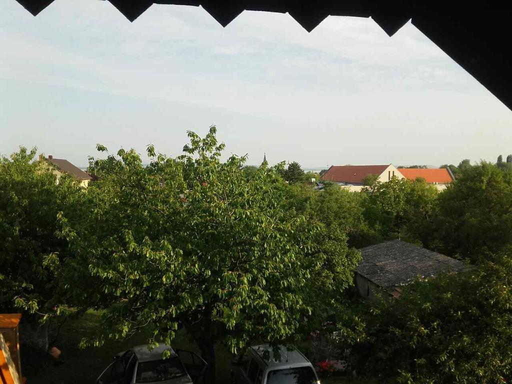 Anna Vendeghaz Otel Balatonakali Dış mekan fotoğraf